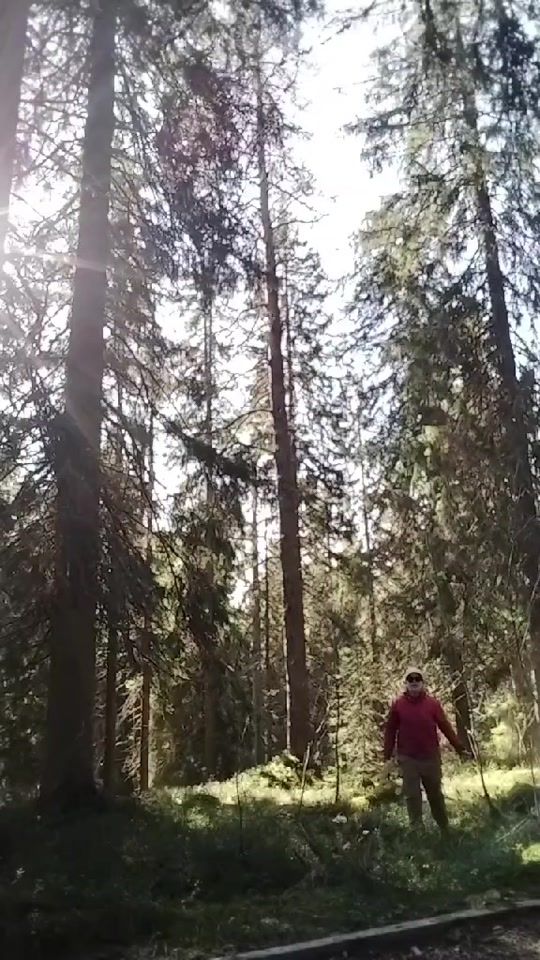 TikTok video thumbnail by mazo_mazonen