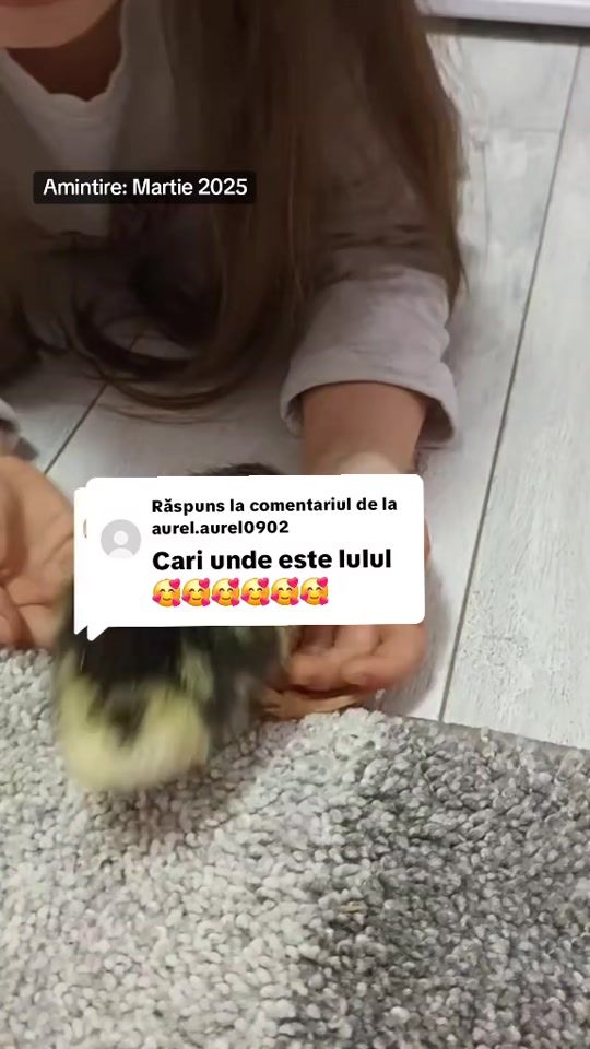 TikTok video thumbnail by chircuelisabeta