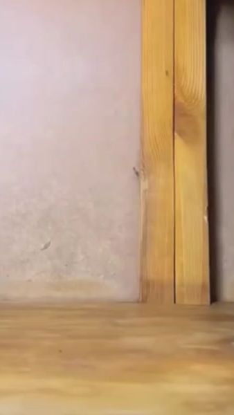 TikTok video thumbnail by christopher.kann.das