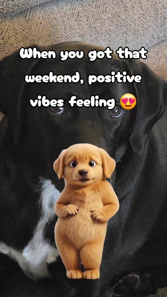 TikTok video thumbnail by scottishboymum