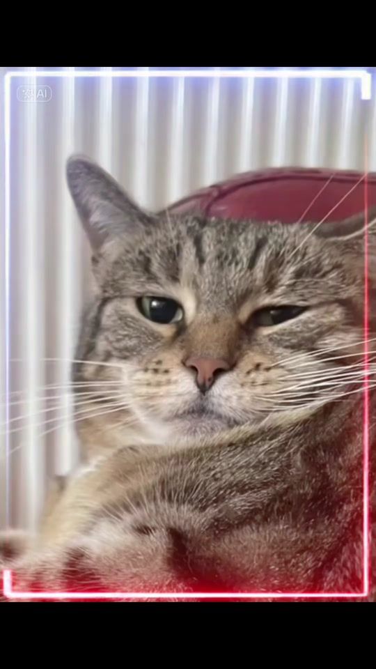 TikTok video thumbnail by olja23_