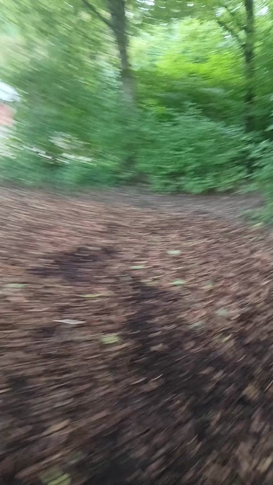 TikTok video thumbnail by misspookie20