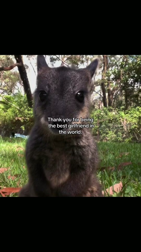 TikTok video thumbnail by therelatablecentre