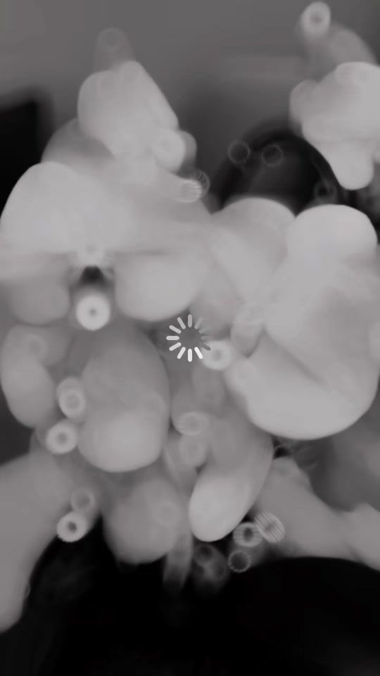 TikTok video thumbnail by pointlesscalm