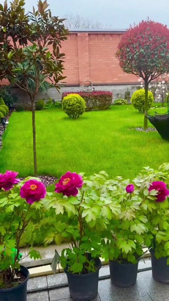 TikTok video thumbnail by flora_plants