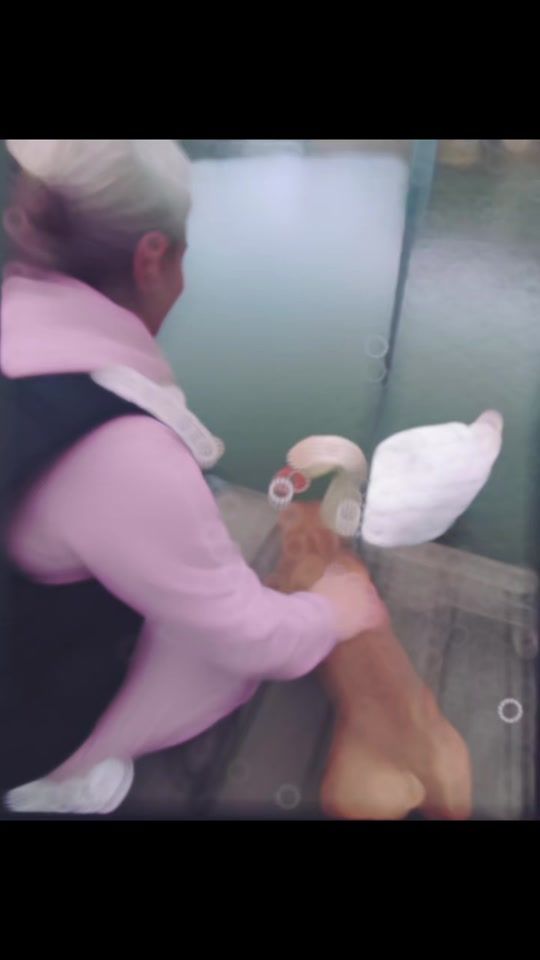 TikTok video thumbnail by sandra_sann
