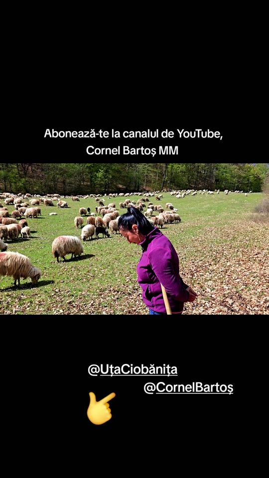 TikTok video thumbnail by cornelbartosmm