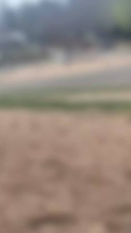 TikTok video thumbnail by danielandissac