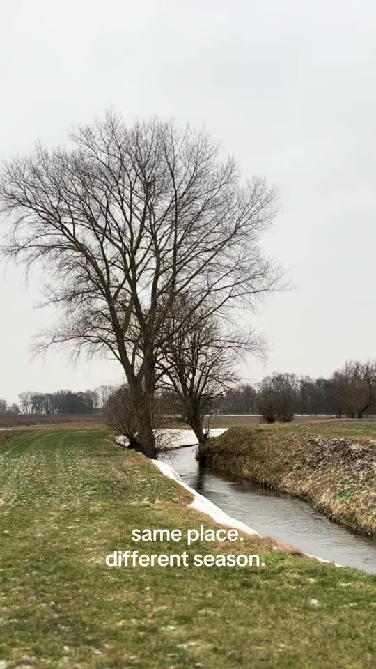 TikTok video thumbnail by edsels3