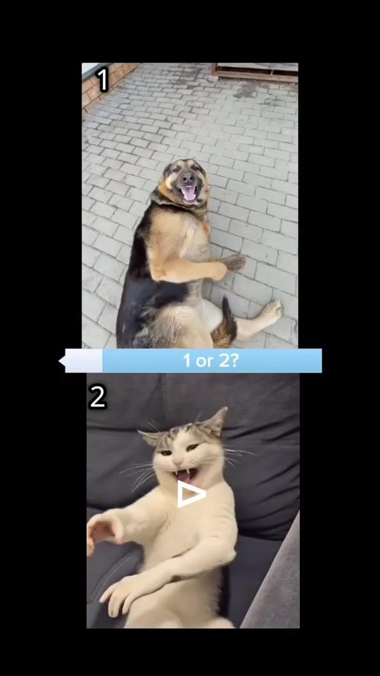 TikTok video thumbnail by maryan_yt