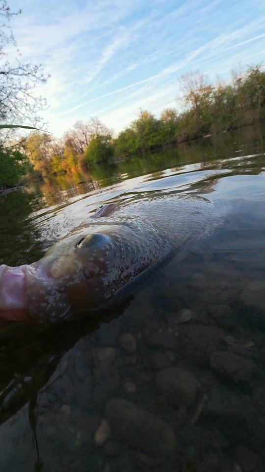 TikTok video thumbnail by rewikfishing