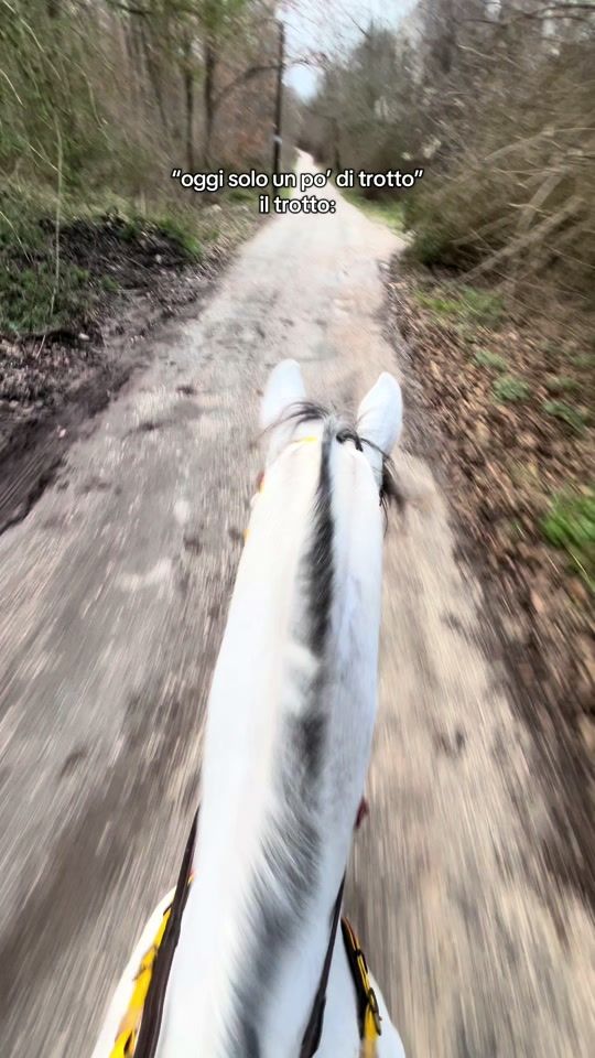 TikTok video thumbnail by deep_s