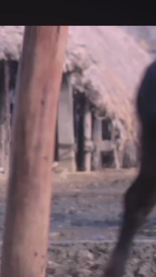TikTok video thumbnail by afg_vibe