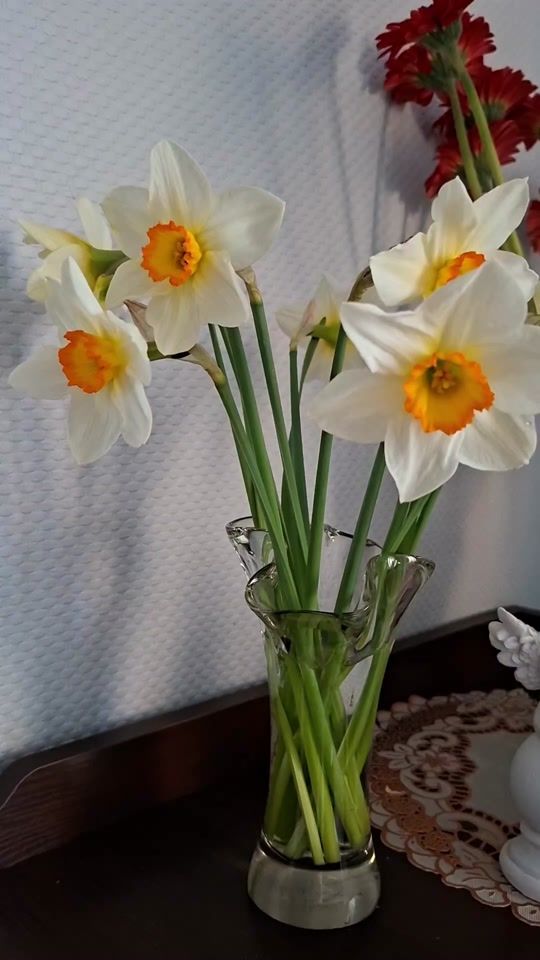 TikTok video thumbnail by alla.groznova