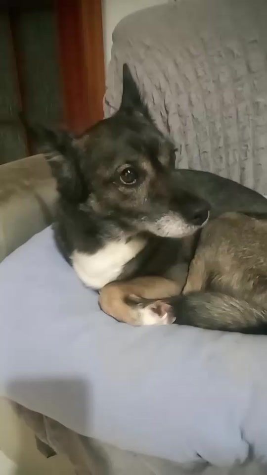 TikTok video thumbnail by chiccoeisuoifratelli