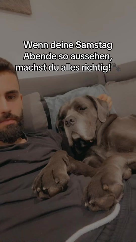 TikTok video thumbnail by luca29.7