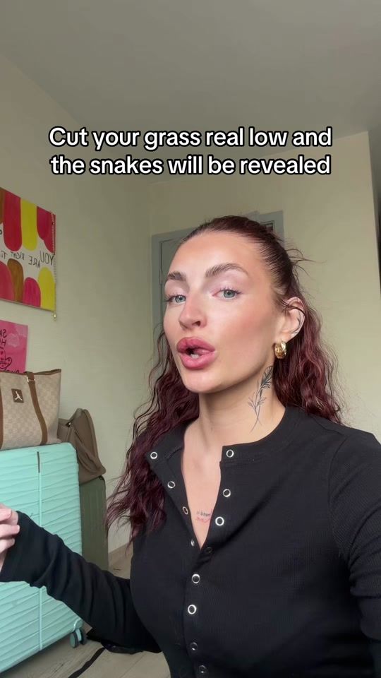 TikTok video thumbnail by squadperson
