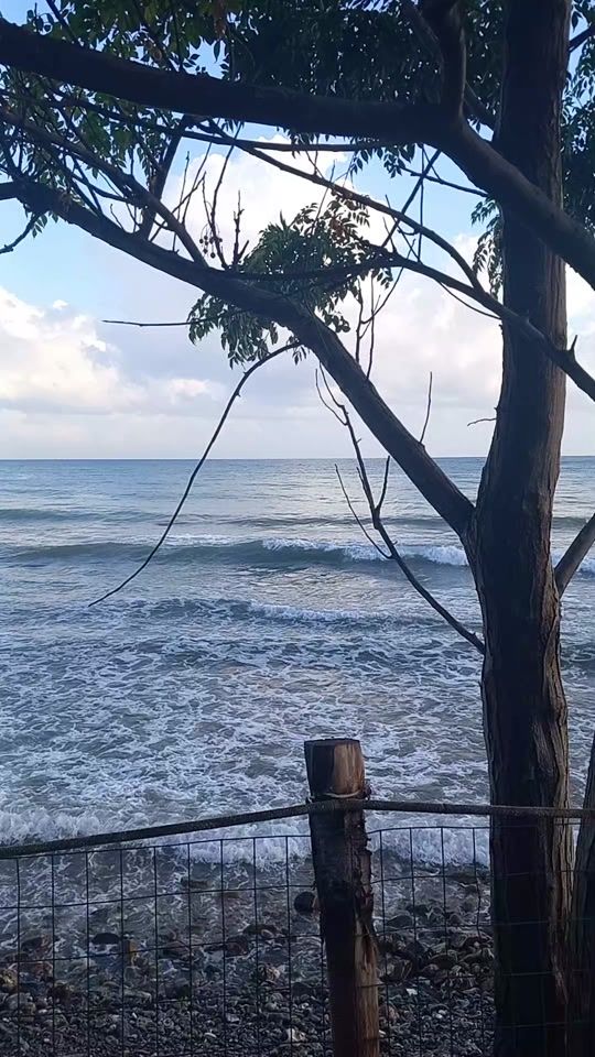 TikTok video thumbnail by susy.........susy