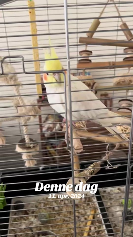 TikTok video thumbnail by darkcrusdercosplay