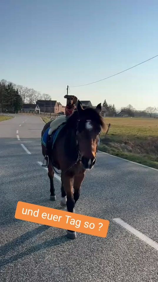 TikTok video thumbnail by waltraud193