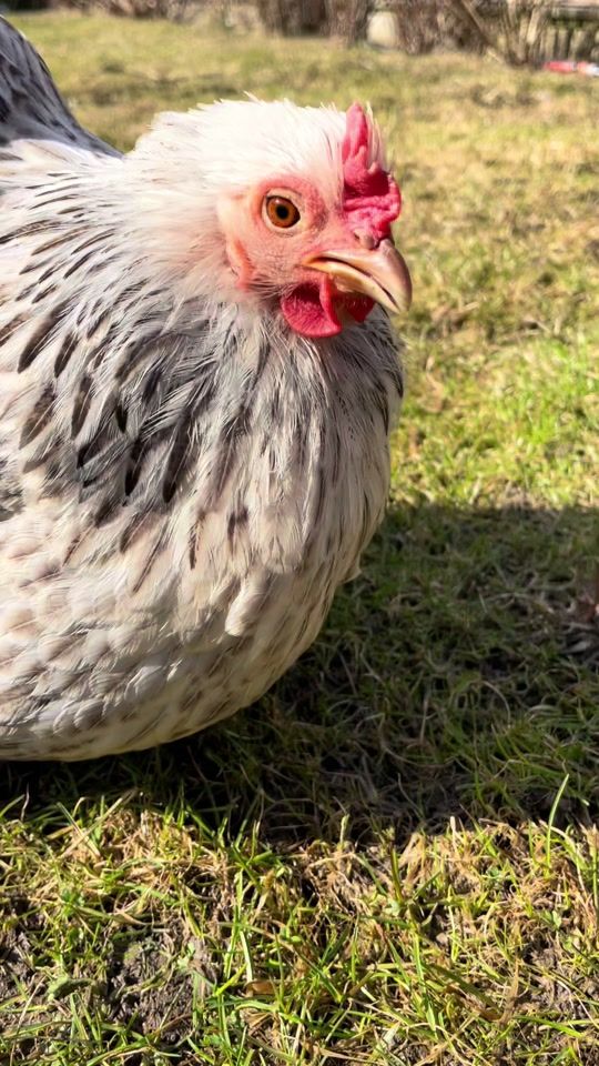 TikTok video thumbnail by 0maria80