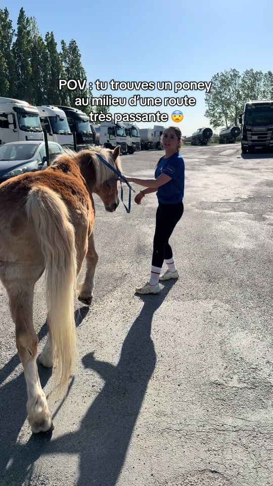 TikTok video thumbnail by nnp.fr
