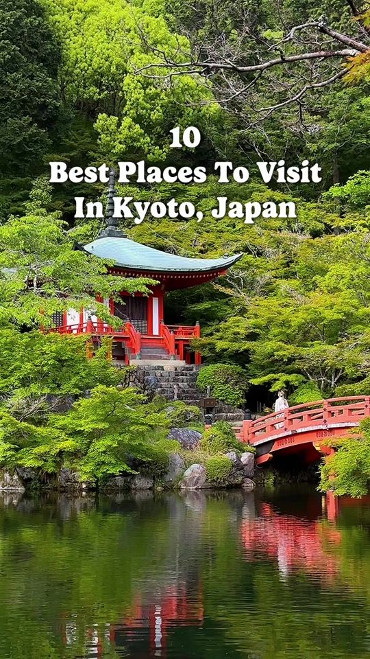 TikTok video thumbnail by wheretofindme