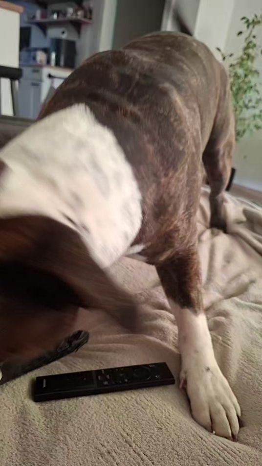 TikTok video thumbnail by lillihelga76
