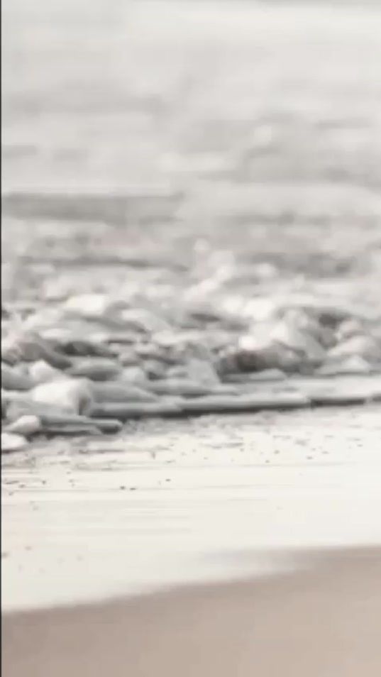 TikTok video thumbnail by onlymusic812