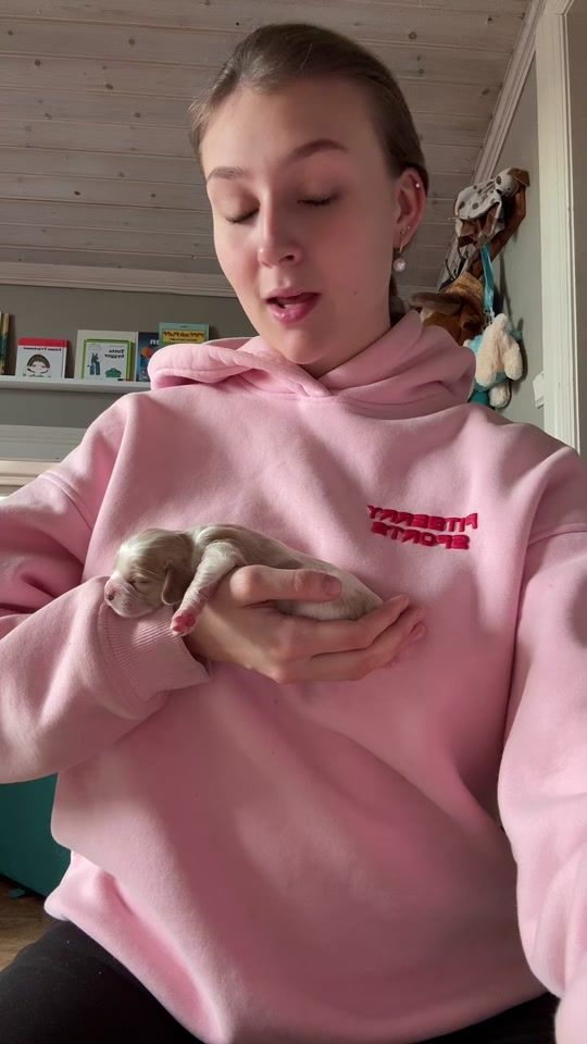 TikTok video thumbnail by inezsuperspam123