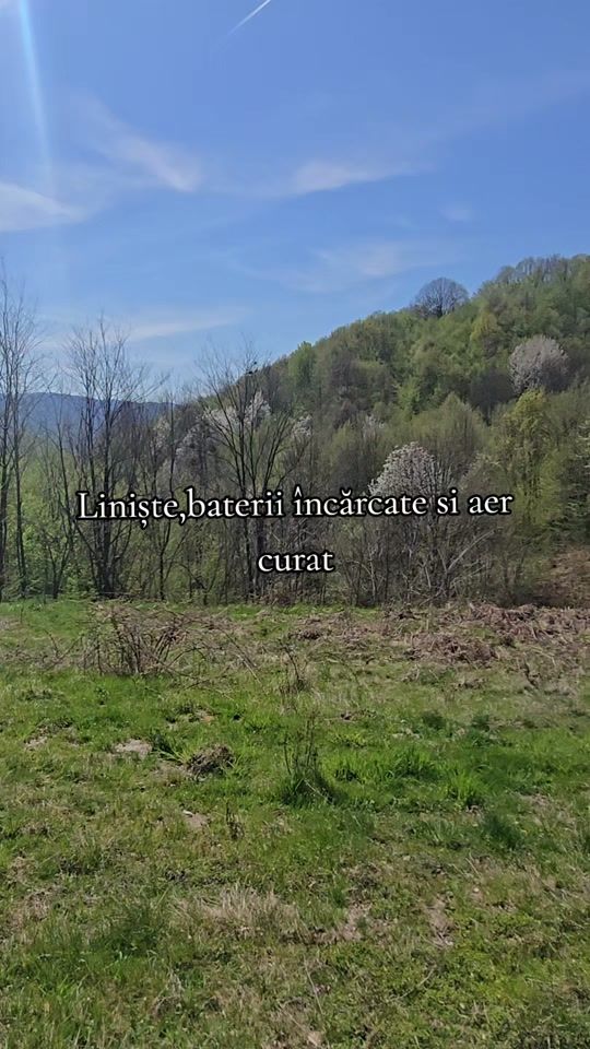 TikTok video thumbnail by florescucristina1