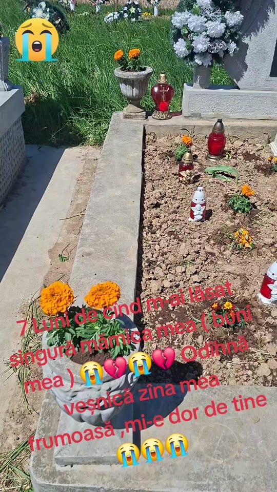 TikTok video thumbnail by ligia.41