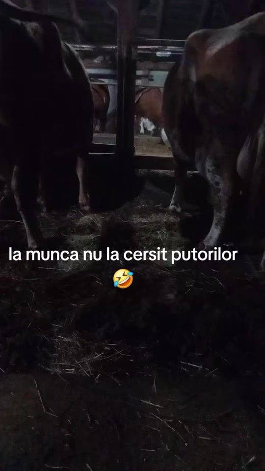 TikTok video thumbnail by deea.deea426