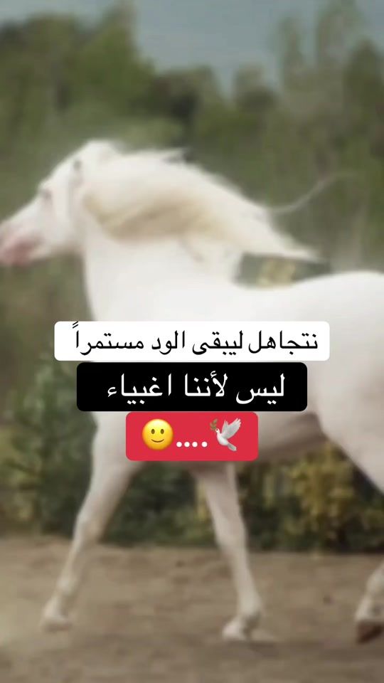 TikTok video thumbnail by nisrino444