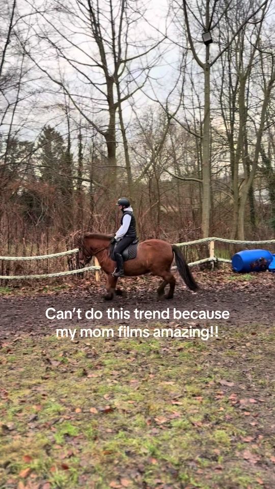 TikTok video thumbnail by zelinas._hesteverden