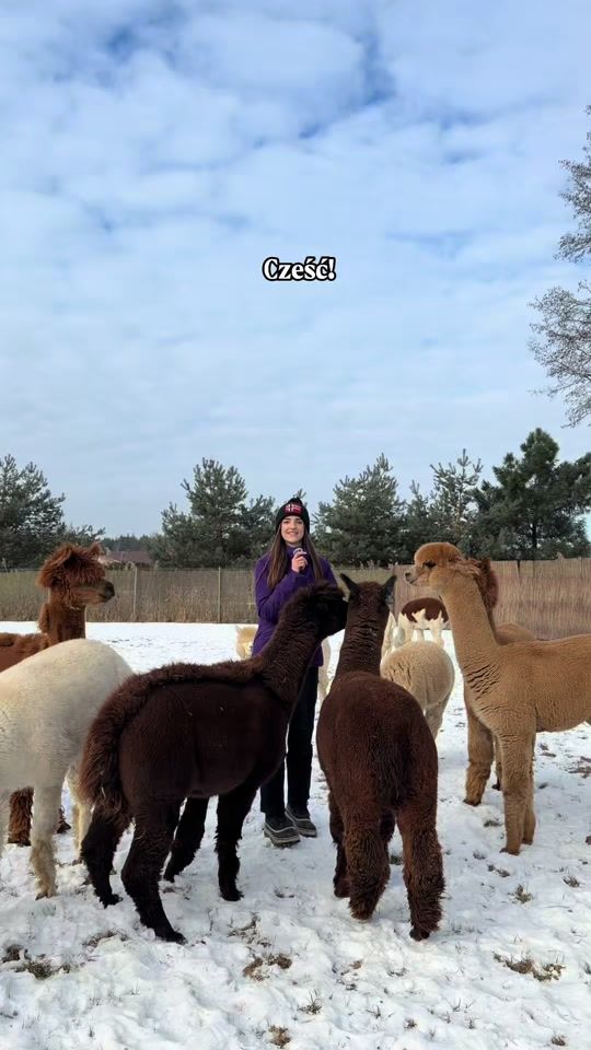 TikTok video thumbnail by dobronianka