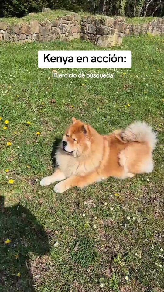 TikTok video thumbnail by kenyaydaddy