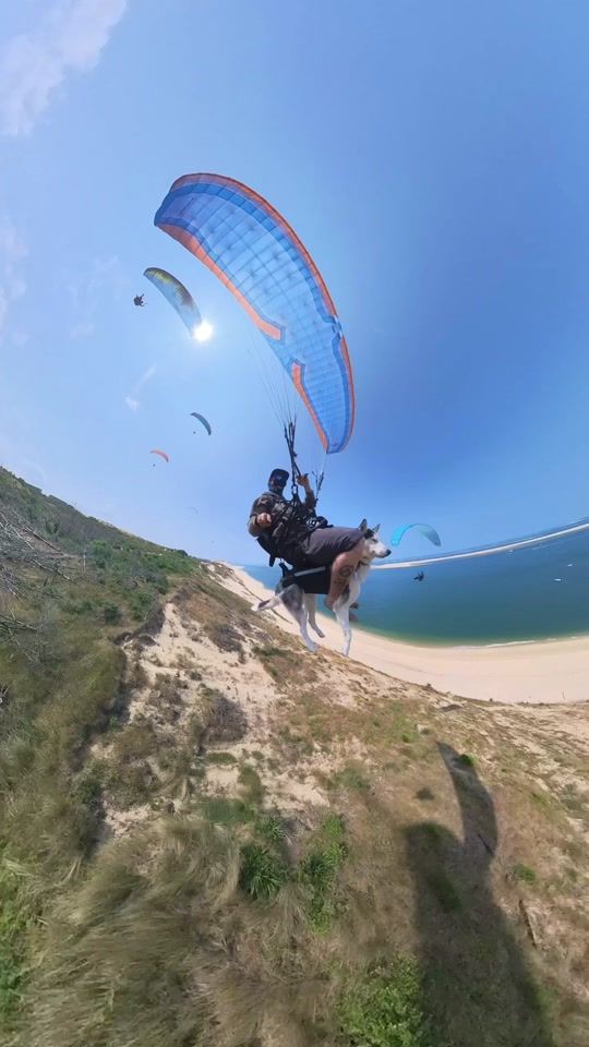 TikTok video thumbnail by aurel_sancho
