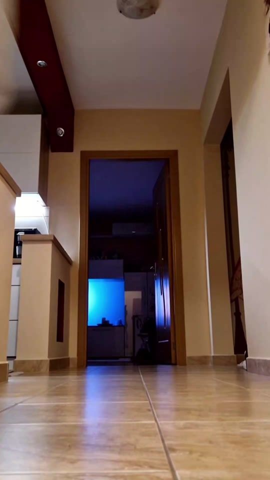TikTok video thumbnail by _h3nithing_