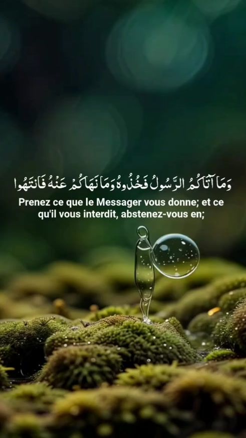 TikTok video thumbnail by quran.karime320
