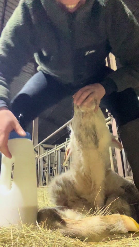 TikTok video thumbnail by oceaneagricultrice