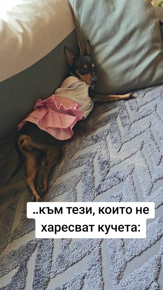TikTok video thumbnail by mona_ludata
