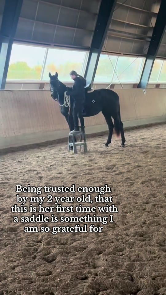TikTok video thumbnail by e.iequestrian