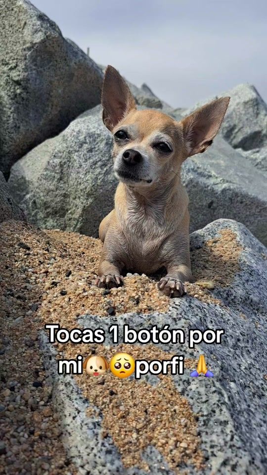 TikTok video thumbnail by rocio.82