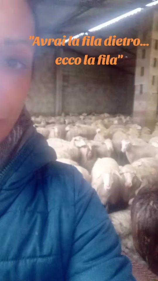 TikTok video thumbnail by elisabhet84
