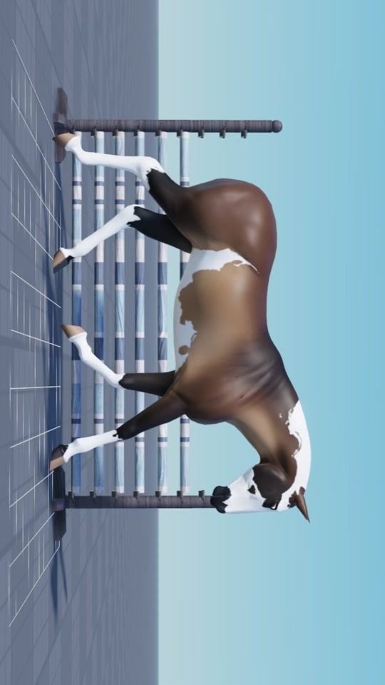TikTok video thumbnail by equistride_