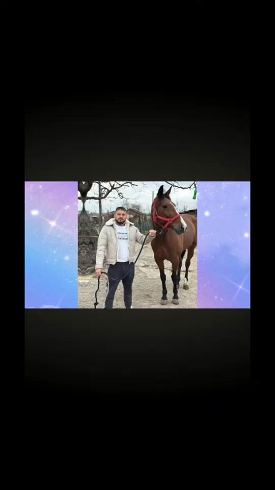 TikTok video thumbnail by danaillegendata