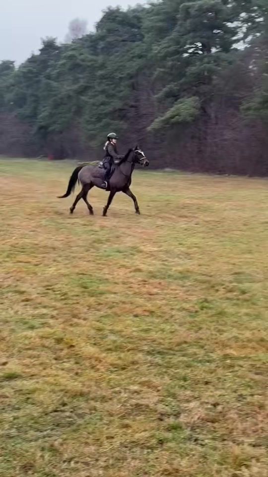 TikTok video thumbnail by agnes.stridh.hst
