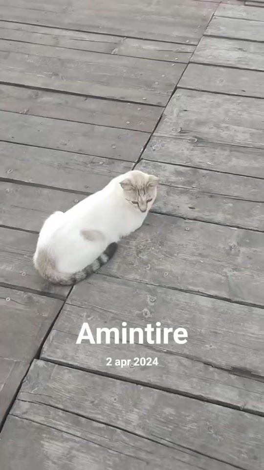TikTok video thumbnail by yulia4ever7