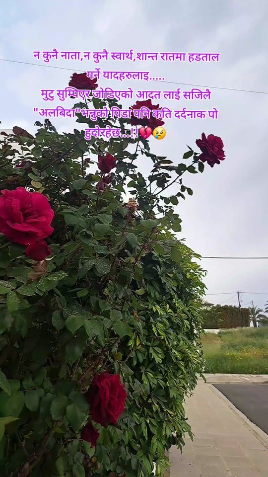 TikTok video thumbnail by thapaindira55